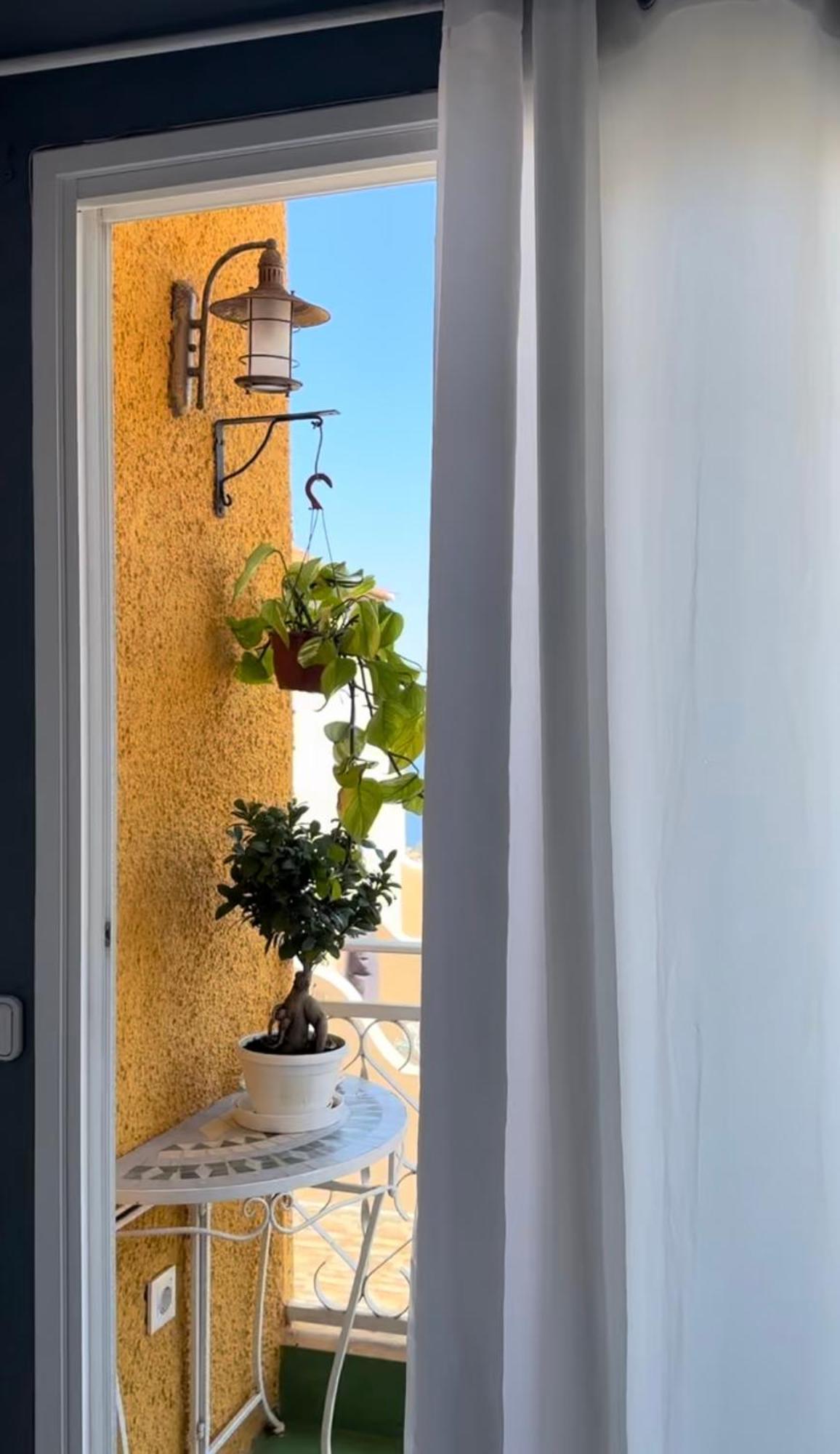 Vistas Los Pinos Ла Оротава Екстериор снимка